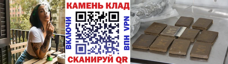 Гашиш Cannabis  Мураши 