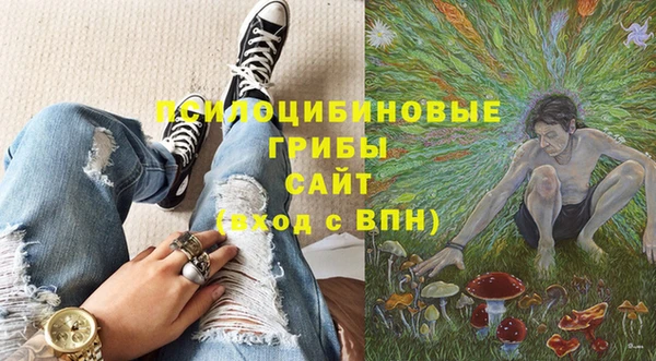 мдпв Липки