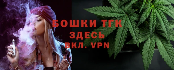 стаф Новокубанск