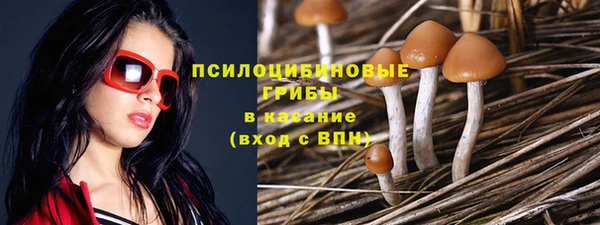 мдпв Липки
