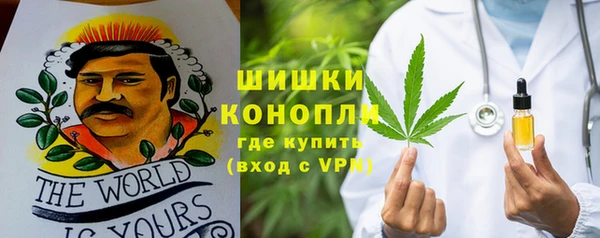 дмт Магас
