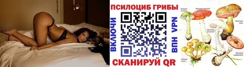 Псилоцибиновые грибы Cubensis  даркнет сайт  Мураши 